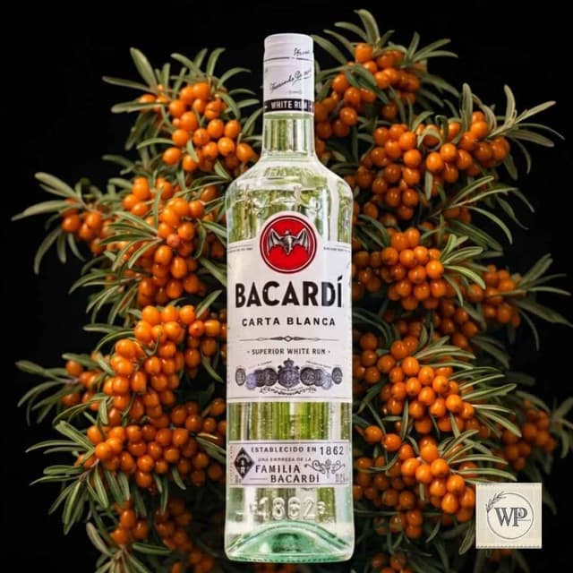 Bacardi Carta Blanca Superior White Rum (180ml)