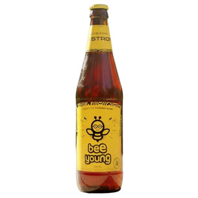 BeeYoung Blast Crafted Strong Beer